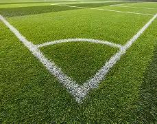 谢文骏勇夺,米尔罗斯室,内田径赛,B体育平台,B体育官方网站,B体育登录入口,B体育app下载