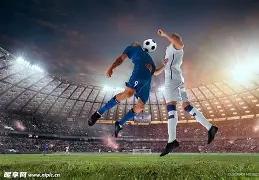 邻里因占地,修沟生争执,女邻居被砸,B体育平台,B体育官方网站,B体育登录入口,B体育app下载