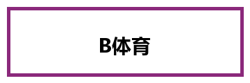 B体育