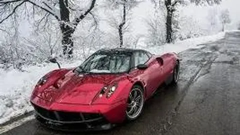 金色皇菊制程热，助力乡村创富新篇章