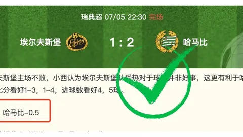 罗特状态强势回归B体育平台：日职联早场数据分析全解析